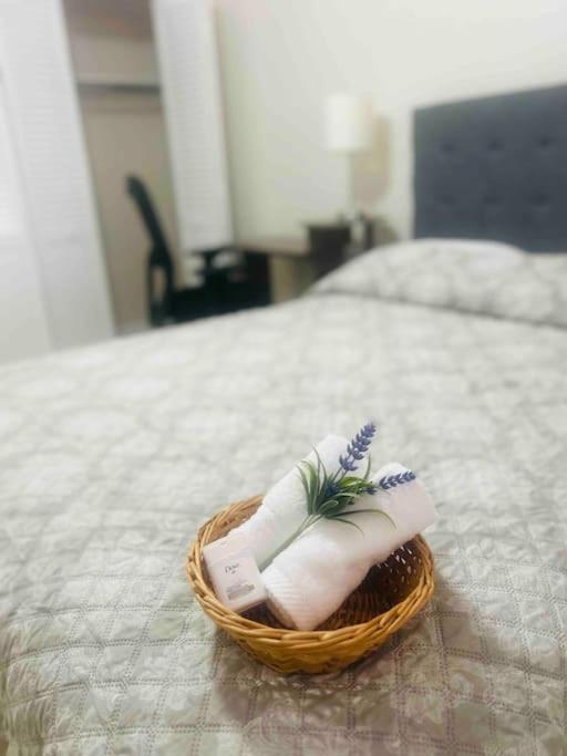 Willa Vintage Family Scape + Heated Pool&Discount Tampa Zewnętrze zdjęcie